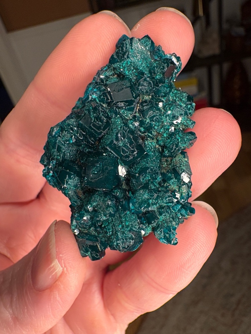 Dioptase Specimen - Picture 4 of 4